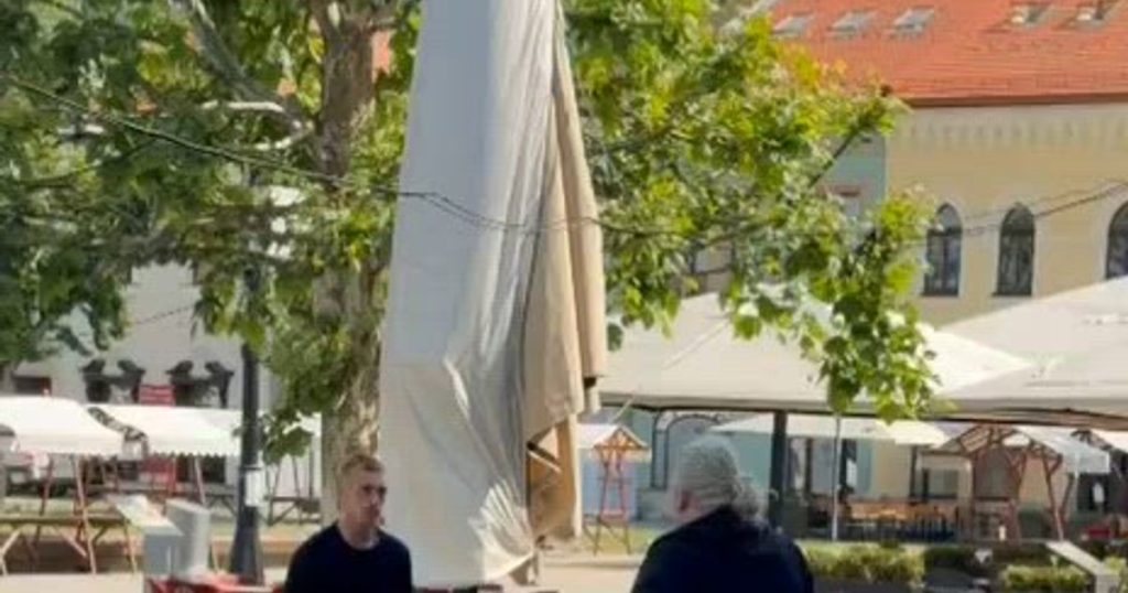 Incident violent în Baia Mare: momentul în care un tânăr lovește un bărbat pe stradă. Poliția a deschis anchetă