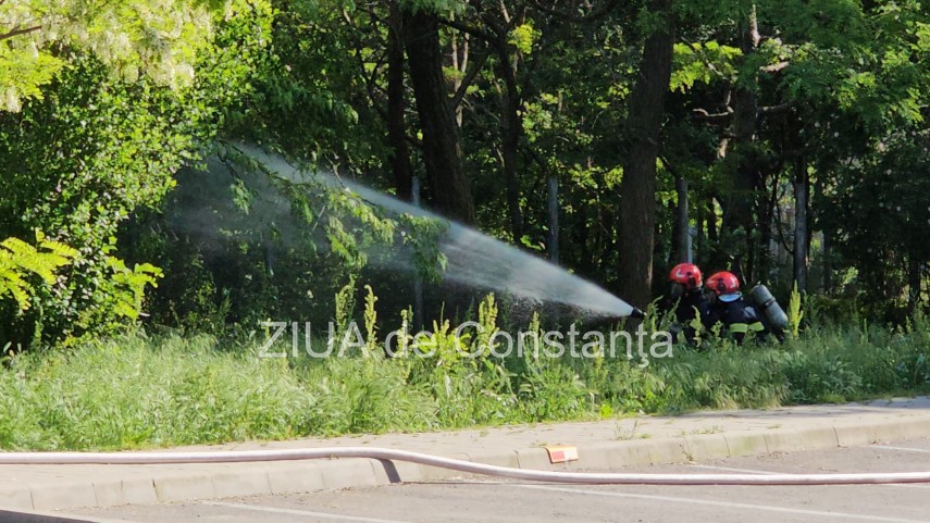 Alerta in Constanta: Interventie de urgenta a ISU pe strada IL Caragiale dupa ce o teava de gaz a fost fisurata