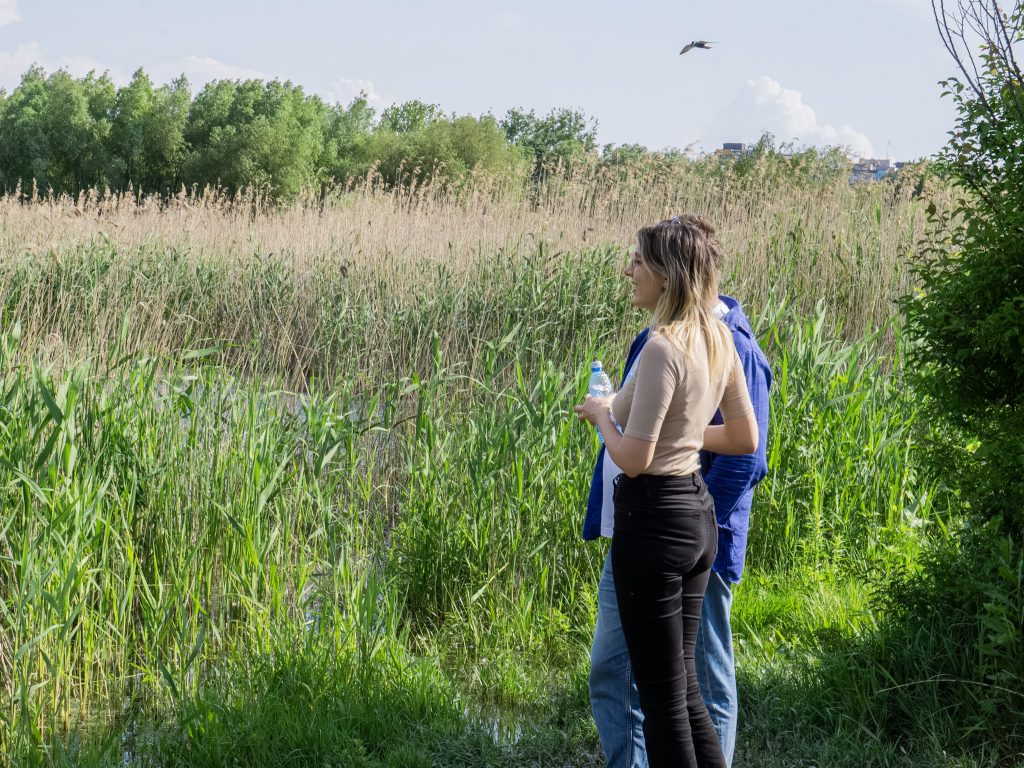GALERIE FOTO | Parcul Natural Văcărești, aria protejată din mijlocul Bucureștiului, a împlinit 10 ani printr-un eveniment-maraton de 12 ore: Ministra Mediului crede că vor apărea noi zone protejate în Capitală și spune că Pădurea Băneasa „va deveni arie p