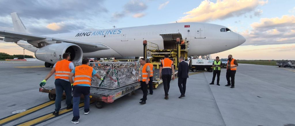 România a trimis 4.000 de oi în Algeria cu avionul: „Ajung la destinaţie în doar două ore şi jumătate”