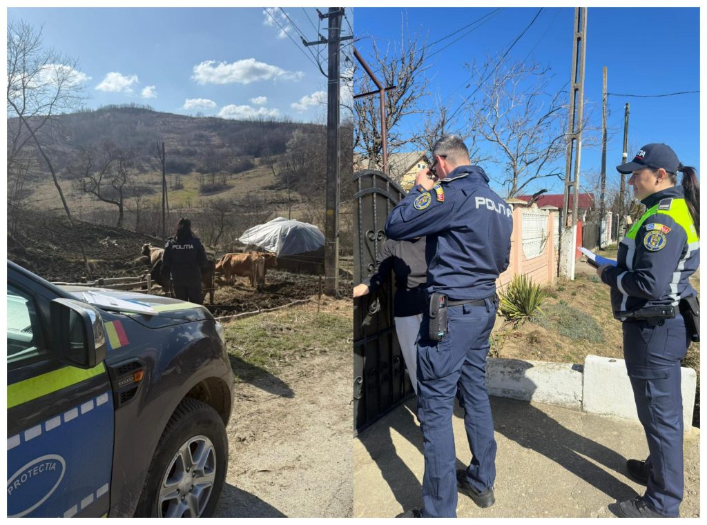FOTO Câini fără microcip și și nesterilizați! Amenzi de peste 12.000 de lei la proprietari de animale din Călimănești, Dăești și Păușești-Măglași