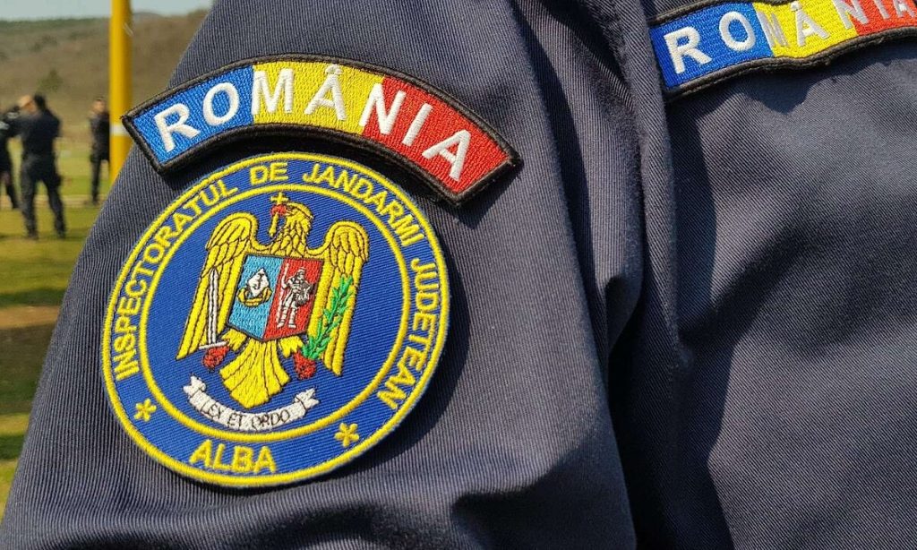 Un urs a fost zărit în comuna Rimetea. La fața locului intervin jandarmii