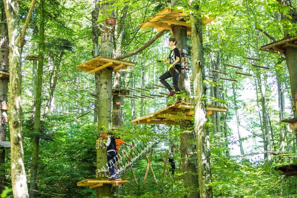 Prețul aventurii la înălțime printre fagi pornește de la 115 lei în Brașov
