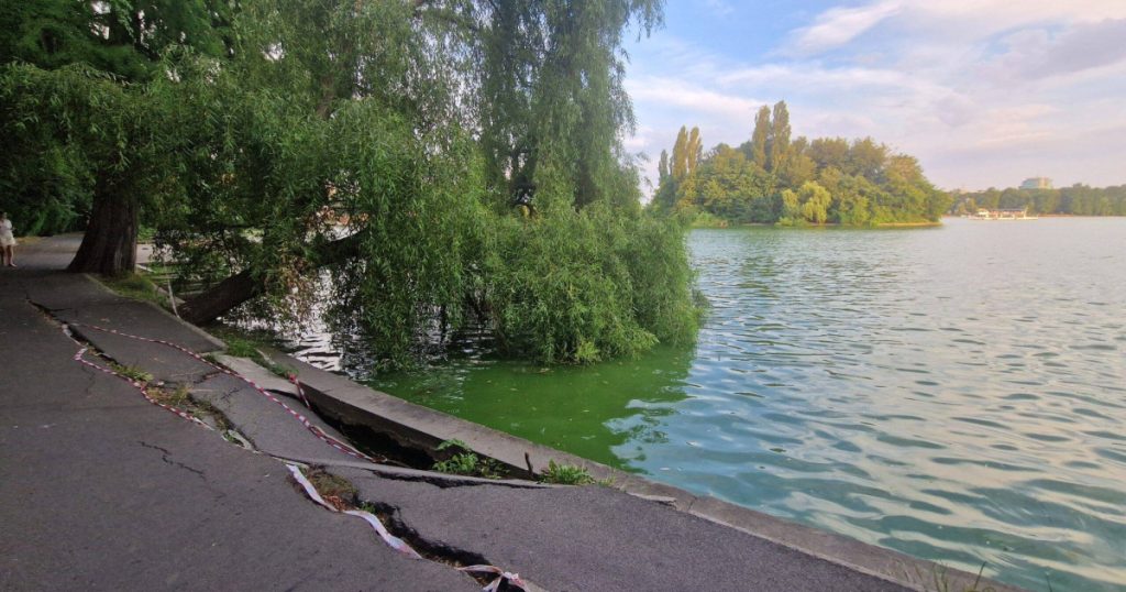 Primăria Capitalei anunţă că începe golirea Lacului Herăstrău pentru lucrări de reabilitare. Ce se întâmplă cu peștii și rațele