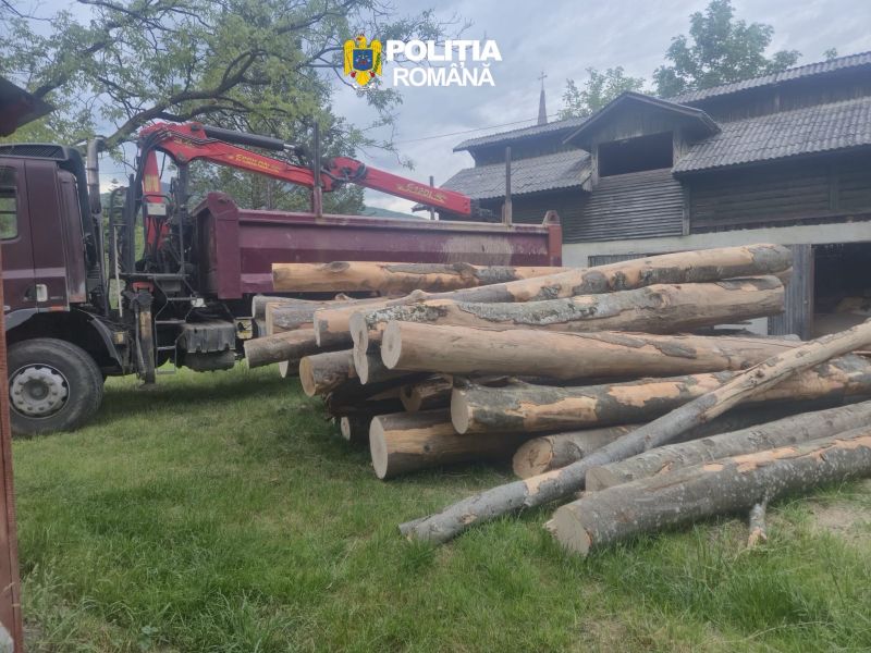 Silvicultor din Bistrița-Năsăud, acuzat că a falsificat documente pentru un transport de lemne. Poliția a confiscat marfa