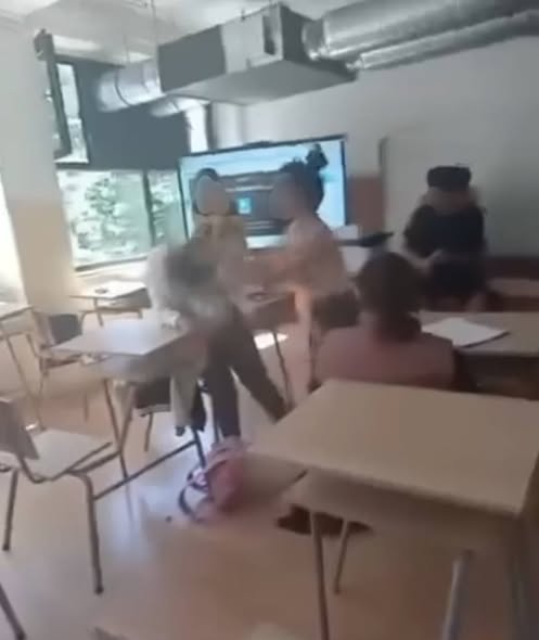 Precizări în cazul scandalului celor două eleve de la liceul Ion Barbu: Agresoarea este ea însăși victimă a violenței de familie!