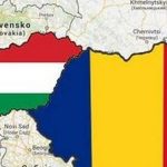 Alertă lansată lângă România. Primul focar de pestă porcină africană la porci domestici, descoperit de Ungaria