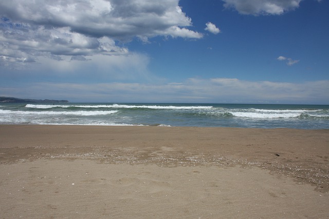 Ministerul Mediului pregătește un proiect pilot pentru crearea de perdele forestiere pe plajele din Mamaia–Năvodari