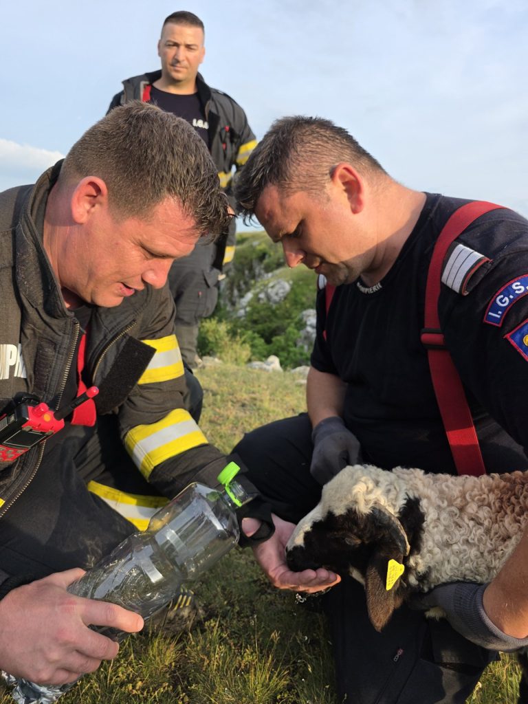Miel SALVAT dintr-o prăpastie de 20 de metri! Intervenție spectaculoasă a pompierilor în Cheile Turenilor