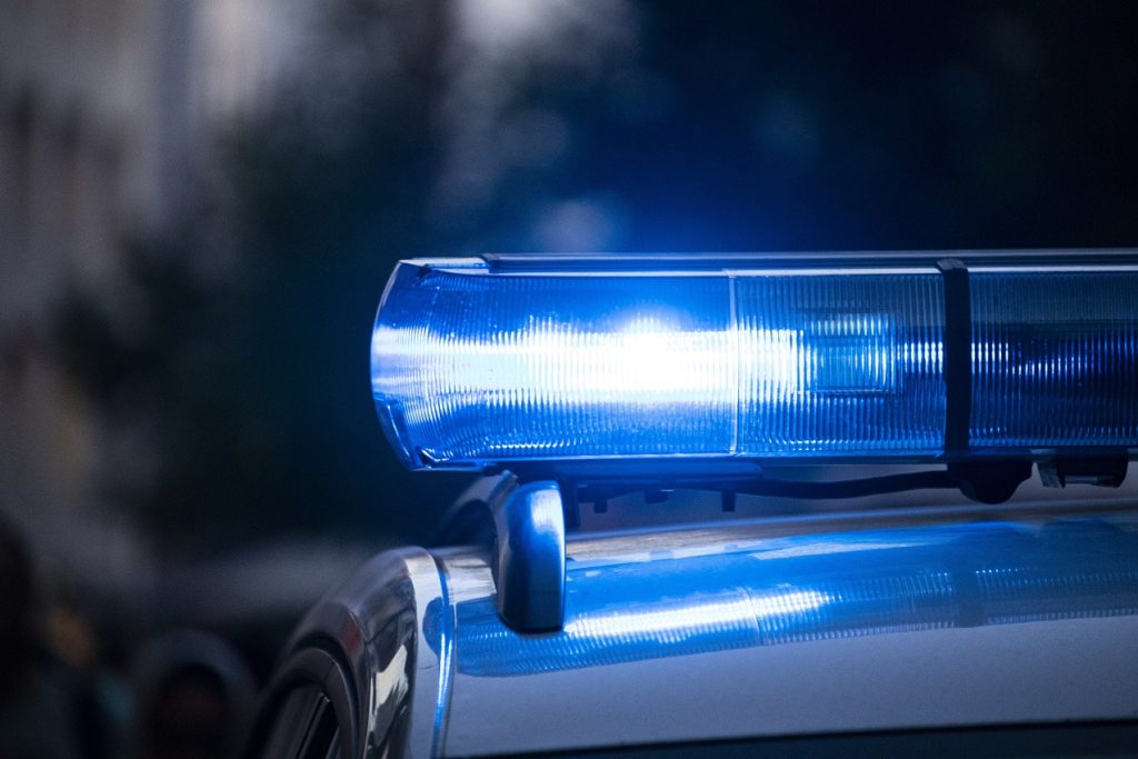 Un tânăr de 34 de ani a fost ucis de urs. Primarul din Hoghilag acuză acțiuni pompieristice, care nu rezolvă problema