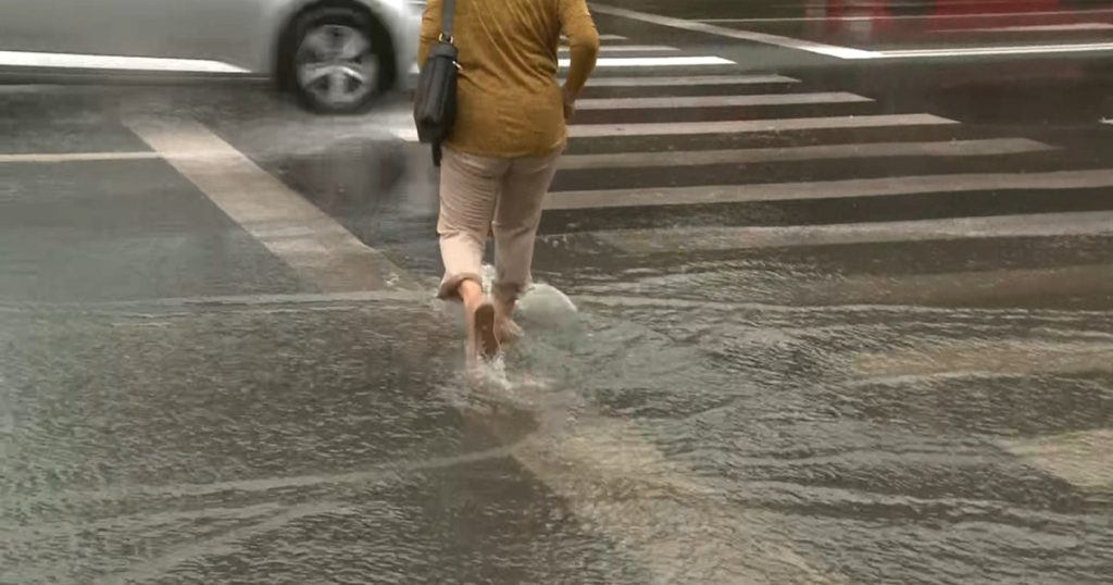 Efecte ale vremii nefavorabile în 10 județe și București: zeci de intervenții ale pompierilor pentru inundații și copaci căzuți