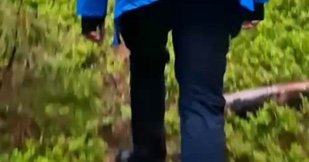 Operațiune dificilă de salvare în Munții Buzăului. Doi turiști rătăciți cu ATV-ul au fost găsiți după mai bine de 10 ore