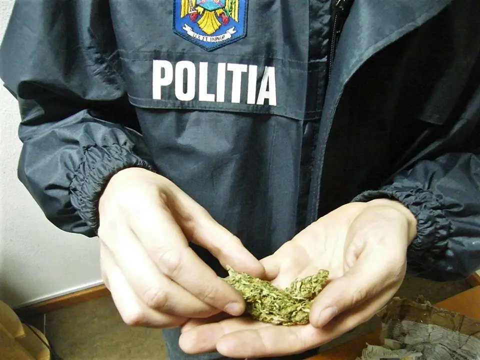A acceptat 500 de lei ca să ridice un colet cu substanțe psihoactive, dar a fost așteptat de BCCO