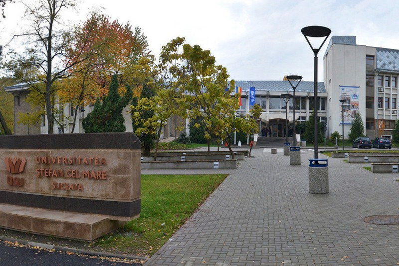 Mai mulţi suceveni au fost la un pas să fie răniţi de un copac rupt din senin în Parcul Universităţii