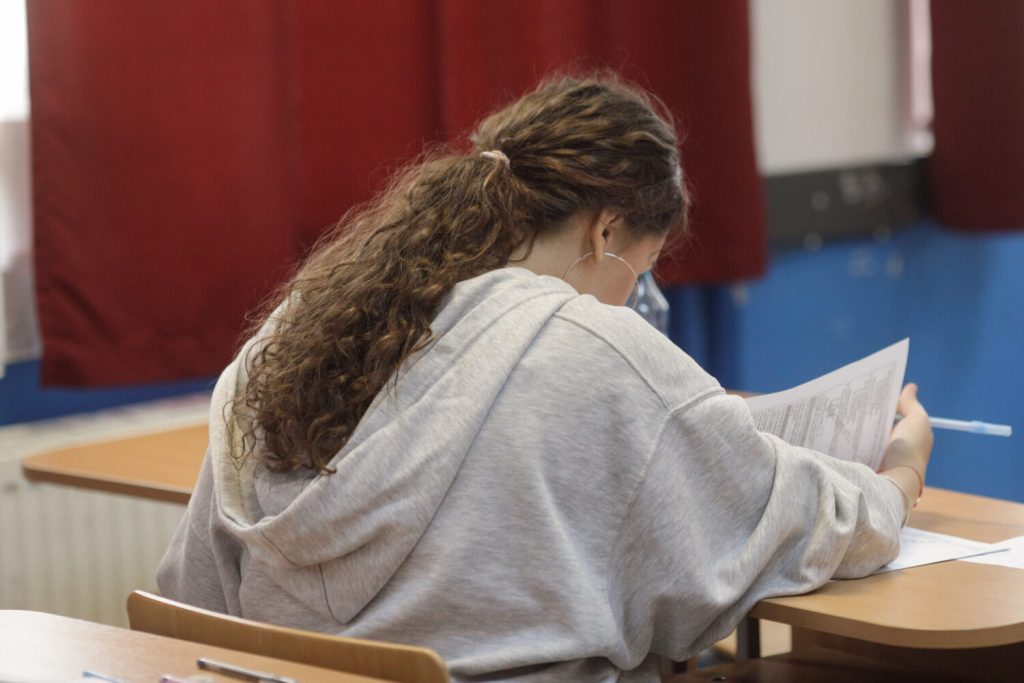 O elevă din Cluj a obținut în instanță dreptul de a susține Bacalaureatul în sesiunea specială, pentru a studia în străinătate, după ce Ministerul Educație îi refuzase cererea
