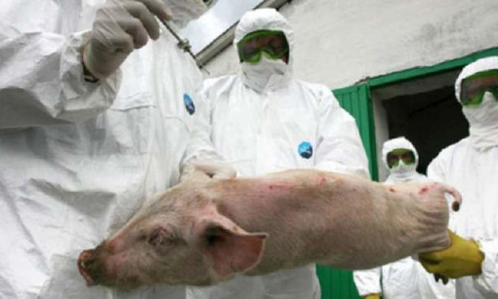 Măsuri riguroase în Satu Mare și posibila extindere la întreaga frontieră cu Ungaria, anunțate de ministrul Tánczos Barna și președintele ANSVSA, dr. Alexandru Nicolae Bociu, ca urmare a focarului de PPA din țara vecină