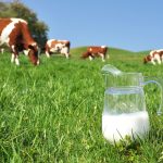Probleme pe piața laptelul: România cere la Comisia Europeană mobilizarea rezervei agricole pentru sprijinirea fermierilor din sector