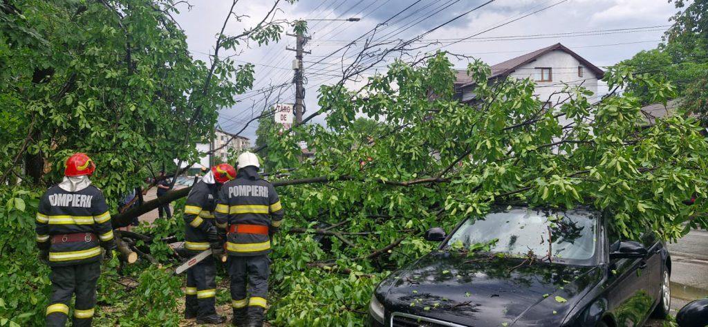 Arbori căzuți în Piatra-Neamț din cauza furtunii. Intervin pompierii
