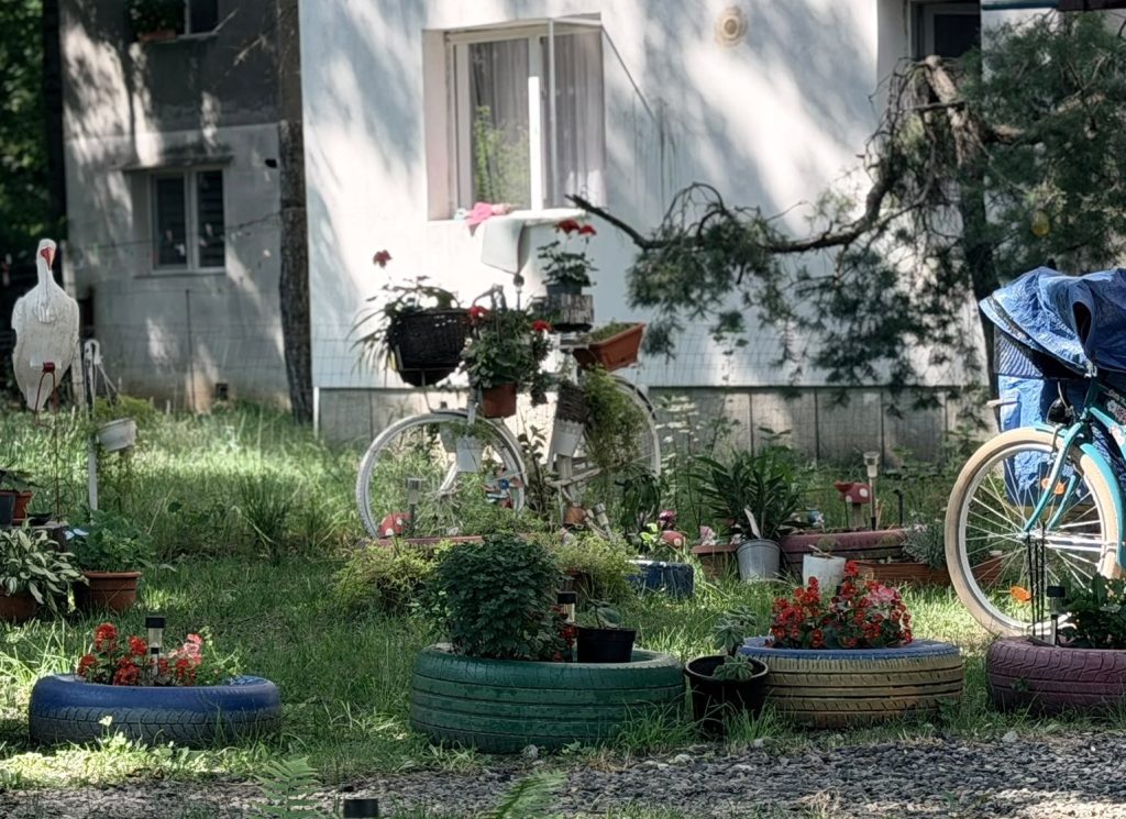 Cea mai frumoasă grădină de bloc din Ploiești? Colțul de pe Aleea Iezerului care îi face pe trecători să se oprească