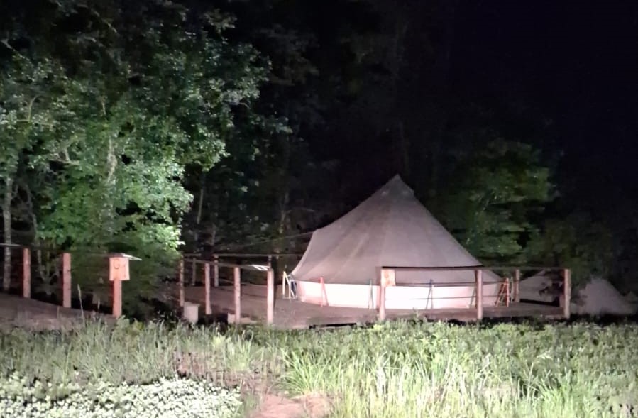PERICOL MAJOR! Urs aproape de corturile turiștilor. A fost dat ordin de împușcare (VIDEO)