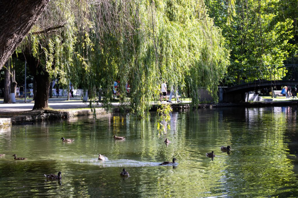 Duminica aduce soare și temperaturi plăcute la Cluj-Napoca!