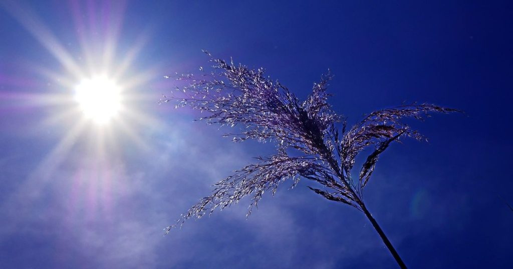 Vine canicula! România, acoperită de un val de aer tropical în următoarele două săptămâni