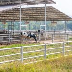 Construcțiile ilegale de pe terenuri agricole, inclusiv transferate în intravilan, ar putea intra în legalitate prin plata unui tarif majorat de 5 ori