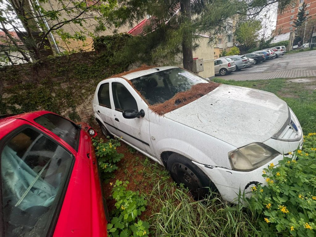 Primăria Lugoj a ridicat șase mașini abandonate de pe domeniul public. Proprietarii pot negocia reintrarea vehiculelor în proprietatea lor