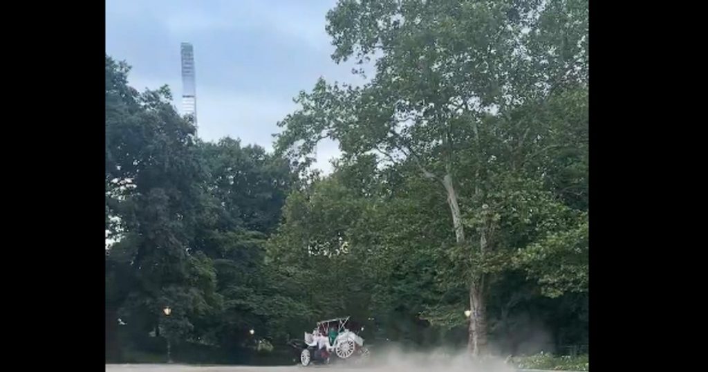 Momentul în care un adolescent de 18 ani e aruncat dintr-o trăsură, în Central Park din New York. Băiatul a murit