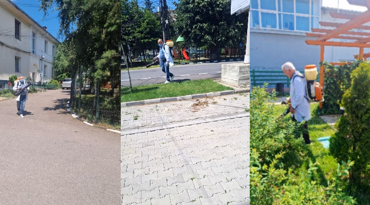 Florești: S-a finalizat campania de deratizare și dezinsecție a localității