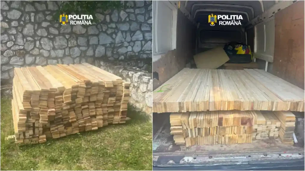 FOTO | Peste 2.000 metri cubi de lemn confiscați de polițiștii din Alba în urma unui control în trafic. Șoferul nu avea aviz de însoțire și a fost amendat cu 2.000 de lei