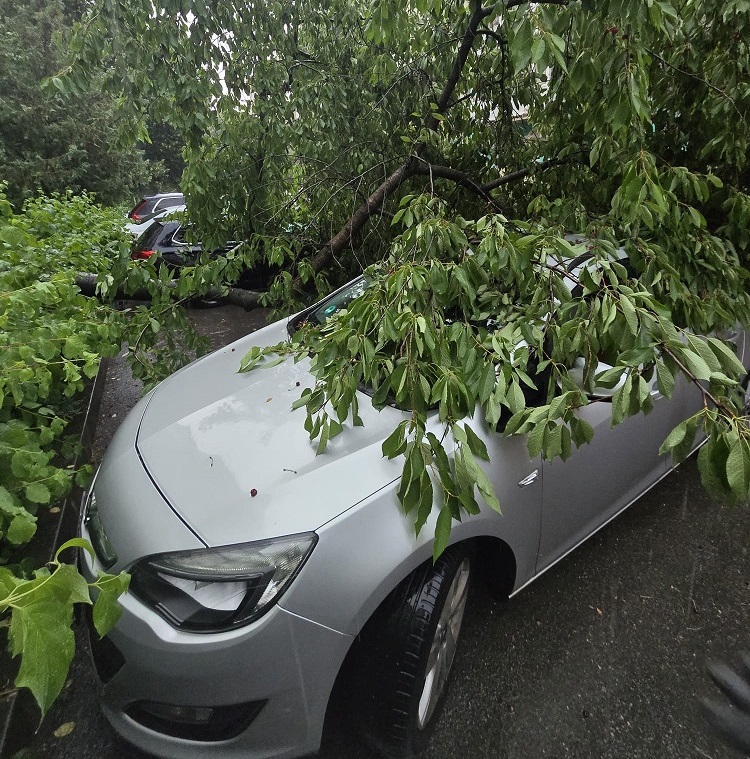 Furtuna a făcut prăpăd în Craiova și județ: case inundate, mașini blocate sub copaci prabușiți sau în pasaje