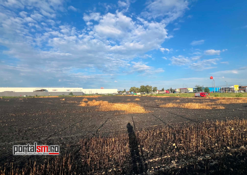 FOTO/VIDEO. Peste 2,5 hectare de grâu făcute scrum în Satu Mare. Incendiul ar fi izbucnit din cauza fumatului. Ce spun pompierii
