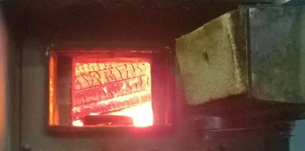 Aprobarea noilor tarife de incinerare a animalelor moarte, la vot în Consiliul Local Alba Iulia: Motivul, creșterea prețurilor la gaz, curent și utilități. Ce cost se va percepe pe kilogramul de cadavru