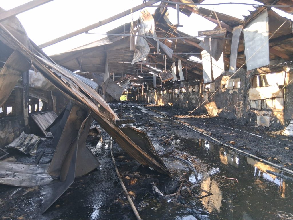 Un nou incendiu la ferma omului de afaceri vasluian Fănel Bogos. O hală de aproape 2.000 de metri pătrați, mistuită de flăcări la Laza – FOTO