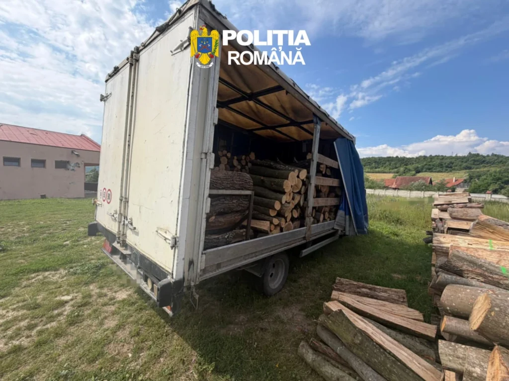 Peste 6 metri cubi de lemn, confiscați de polițiști în județul Brașov. Șoferul nu avea documente de proveniență