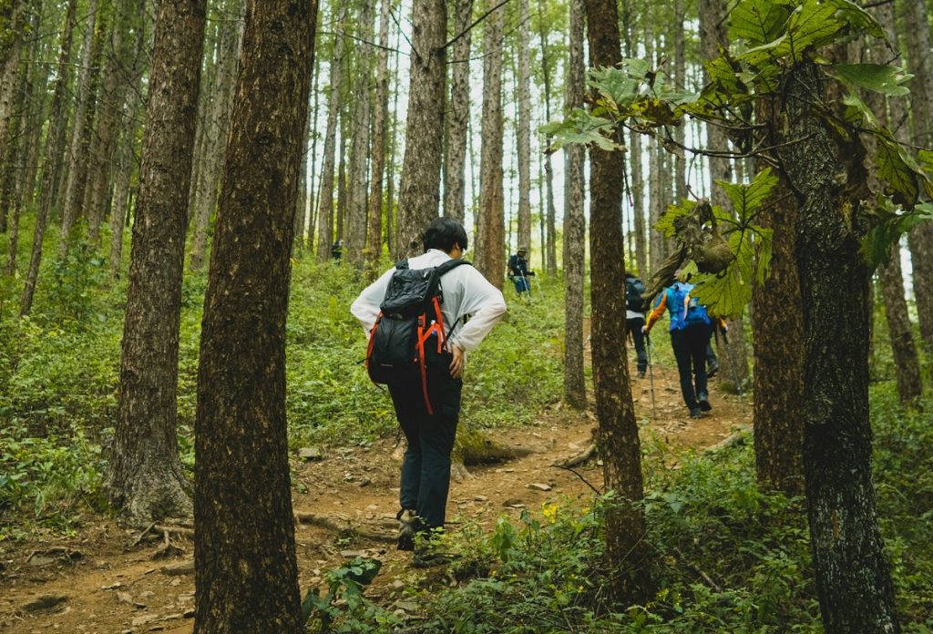 Toate traseele turistice montane din Prahova au fost redeschise