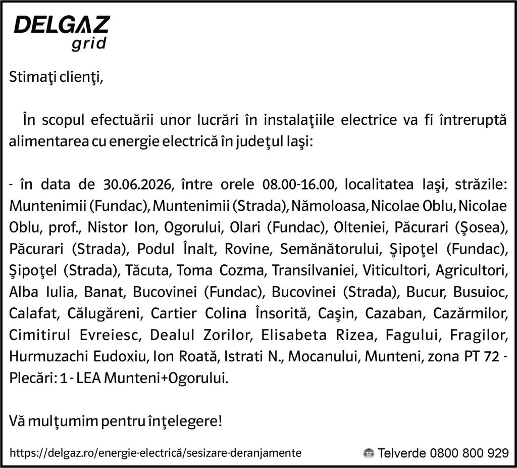 Anunț Delgaz Grid 26 iunie 2026/3