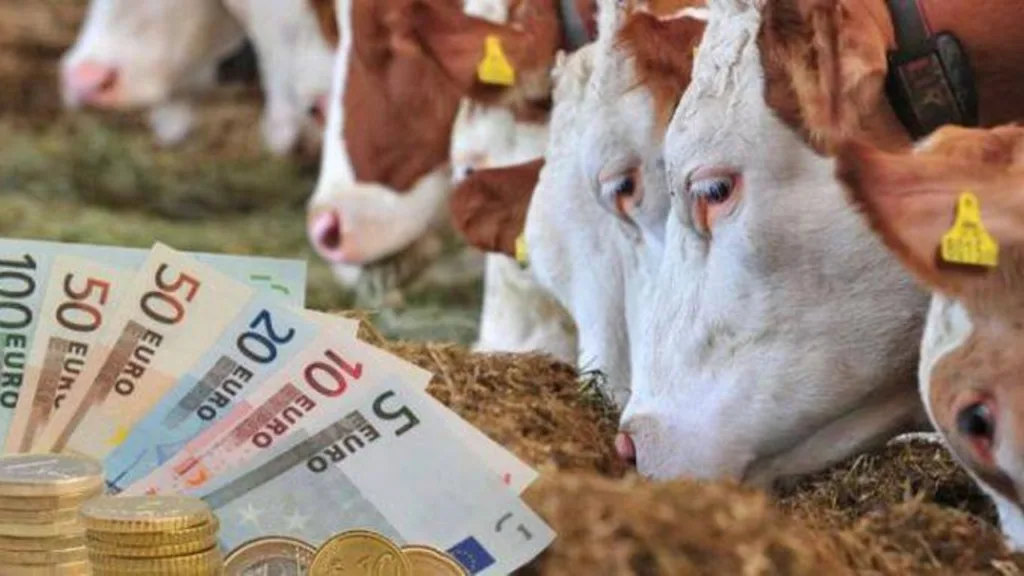 Aproape 3 milioane lei de la APIA pentru crescătorii de animale