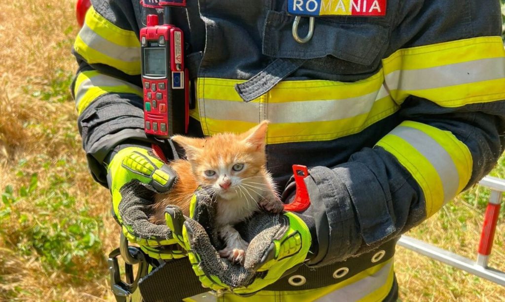 FOTO: Pompierii din Alba Iulia au salvat un pui de pisică, care a căzut într-o fântână din municipiu
