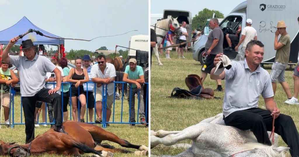 Imagini revoltătoare la un târg de cai din Satu Mare: bărbat filmat în timp ce își chinuie animalele