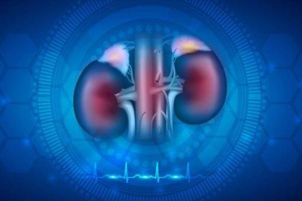 ICUTR Cluj-Napoca beneficiază de un sistem ecografic modern pentru monitorizarea pacienților cu transplant renal