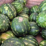 Lidl anunță în România un record: cel mai mare volum de achizitii de roșii românești