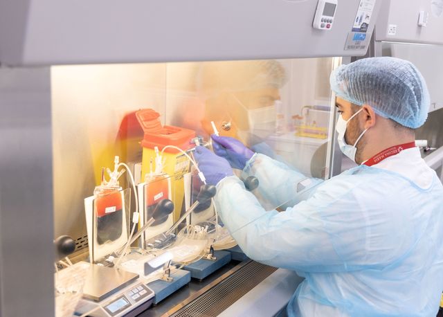 Premieră medicală: Banca Centrală de Celule Stem REGINA MARIA devine singura bancă de celule stem din România cu autorizaţie ANMDMR pentru fabricaţia de medicamente de terapie avansată