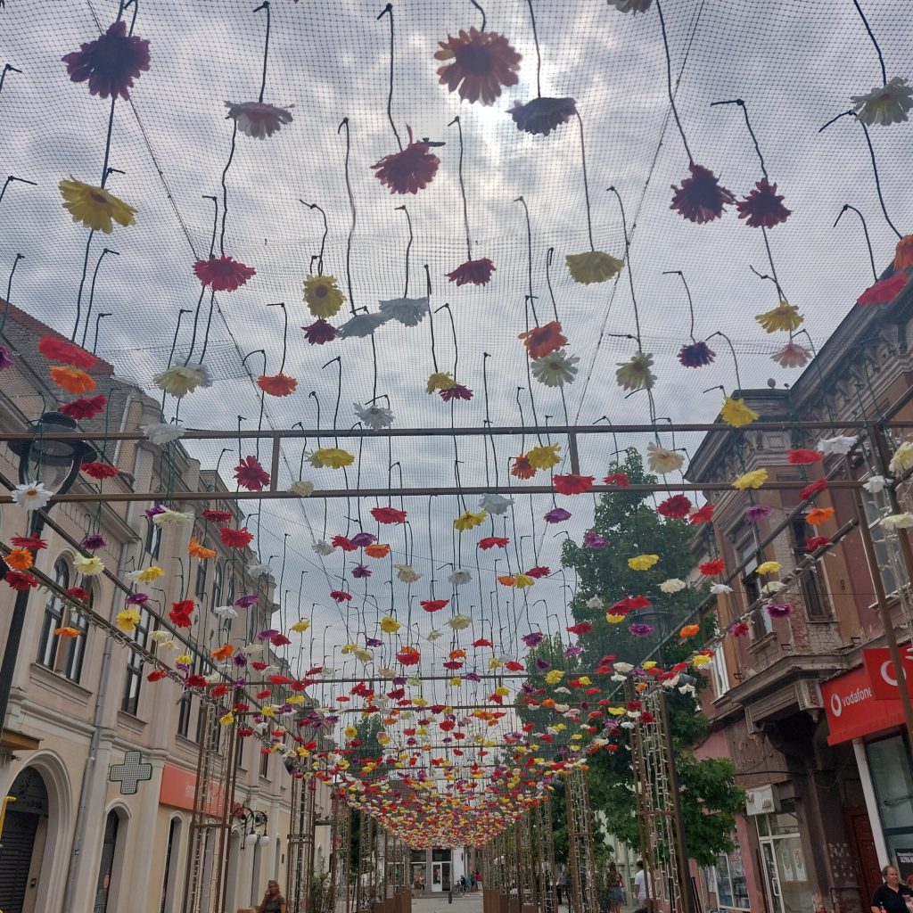 [FOTO] Lugojul înflorește sub un cer de flori!! Noua amenajare aduce culoare, eleganță și farmec în inima municipiului