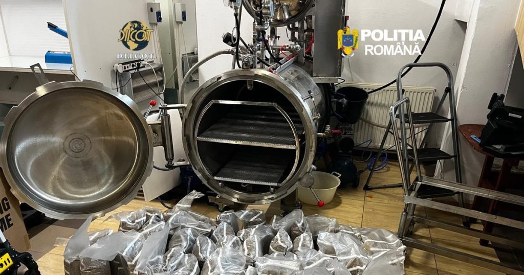Cum arăta „ferma” de ciuperci halucinogene descoperită de DIICOT într-un apartament din București