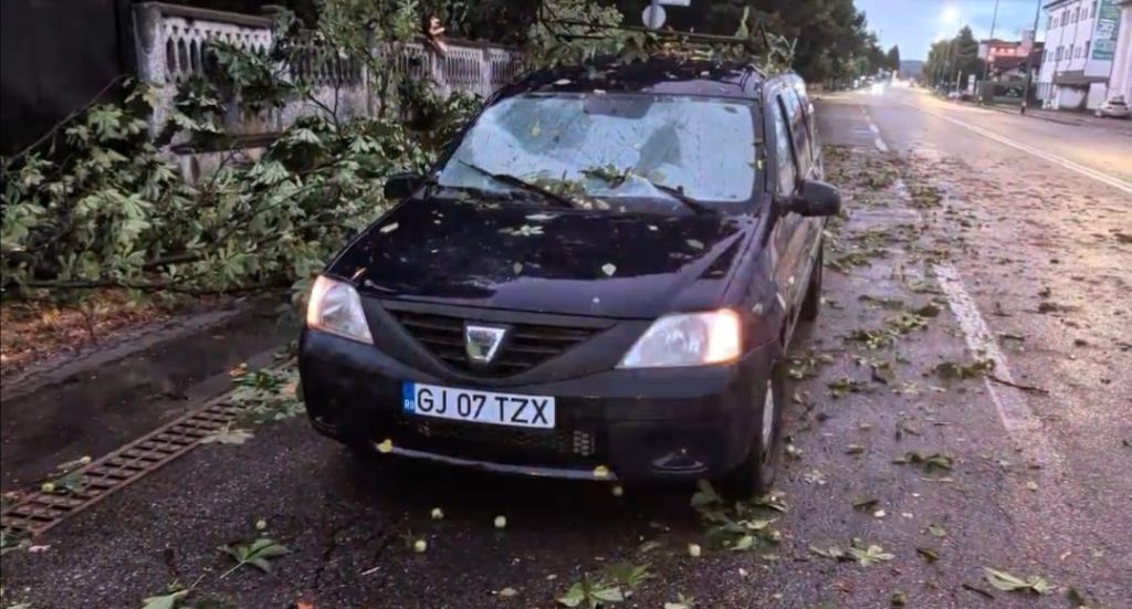 Copaci prăbușiți peste autoturisme la Târgu Jiu