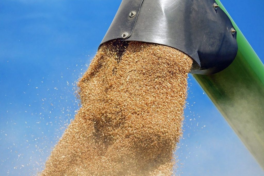 Proprietarii de nave au oprit intrarea vapoarelor în porturile ucrainene de la Marea Neagră pentru exporturi de produse agricole din cauza atacurilor Rusiei