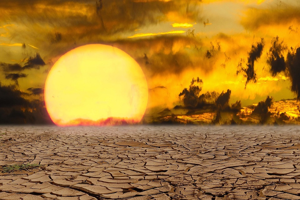 România pierde peste un milion de hectare de culturi, din cauza secetei extreme. Criza climatică usucă tot mai rapid solurile din Europa – studiu