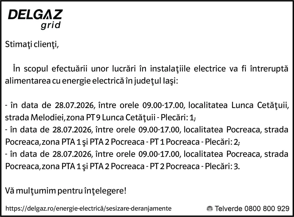 Anunț Delgaz Grid 24 iulie 2026 / 2